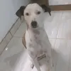 0utinha