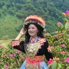 phng.phng119