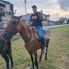 brayan_bp319