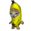 adhammostafaa_