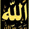 sehamelshahawy160
