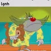 quynho2771
