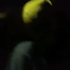 bryanjoycechosaiv