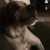 amazingusernem