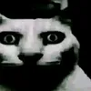 jcpoof