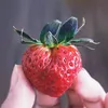 kayetobeme