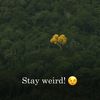 introvert23d