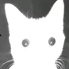 foxietail_tt_