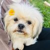 🧊Khaing💤🍓