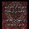 abdin2.8