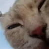 bbbbbsara