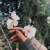 user11972390205706
