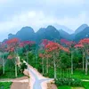 thamvuong87