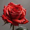 user047470961