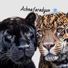 ashna.faraydun