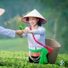 thuydiep023