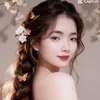 ngnyp43