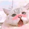hanya_dia_0903