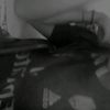 laricoto1