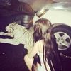 a_nna245