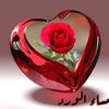 user46138654121314