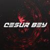cesur.bey90