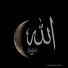 bisam.hamid