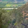 indiamo