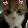 im_juste_girl5
