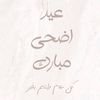 user4094847133279