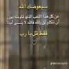 user5905761824490