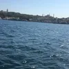 noblezpq