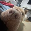 user.210831