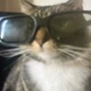 kiyacakes20