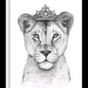 user3321549616061