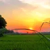 nguyenanhv16