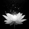 user7418594781808