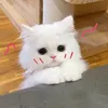 sarah.thienbinh08