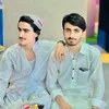 lashari31342