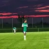 al_charlie_vice