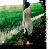 saime.sheikh6