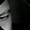 spider_33.s