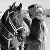2osalem