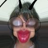snownilla62