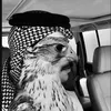 s_lmry795