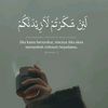 fajar.gooner
