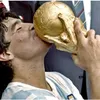 pocho.o.o