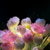 d_a_r_i_2009