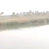 ttfjjn37877