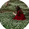 kana_kalary01